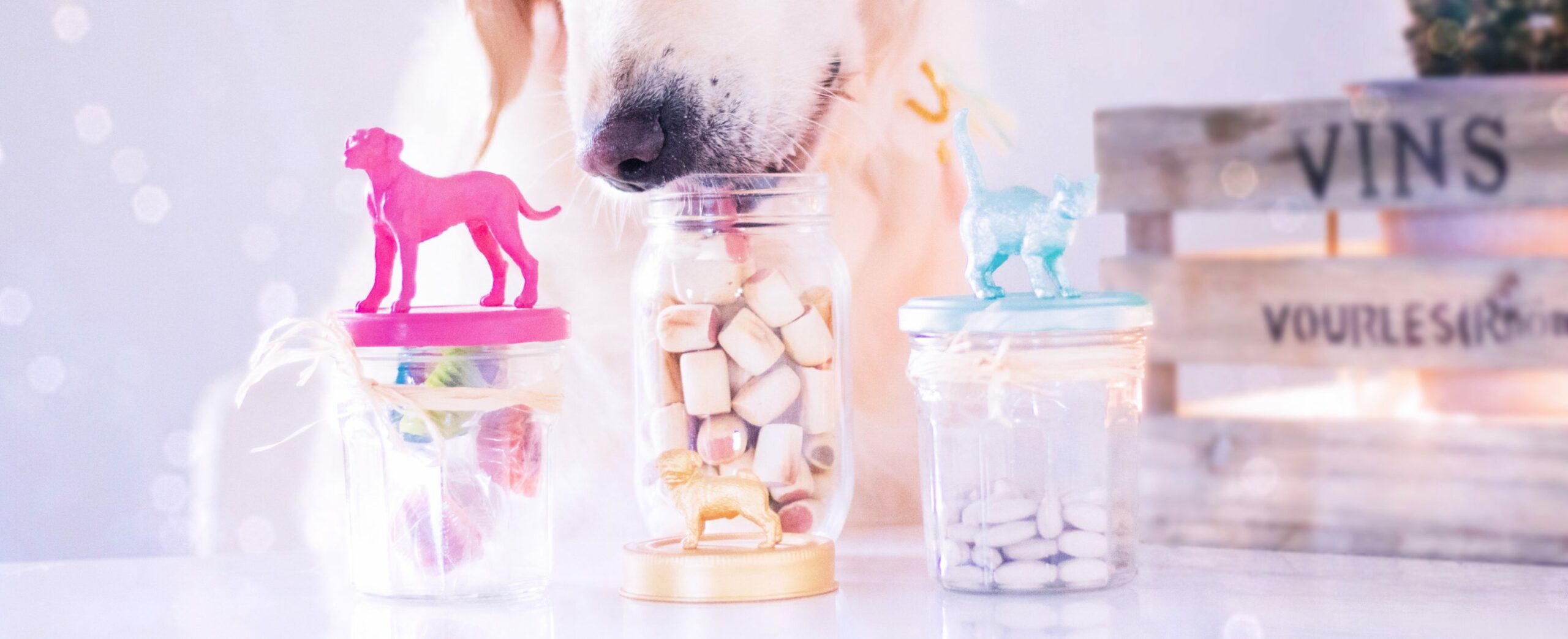 DIY Bocaux à friandises pour chien