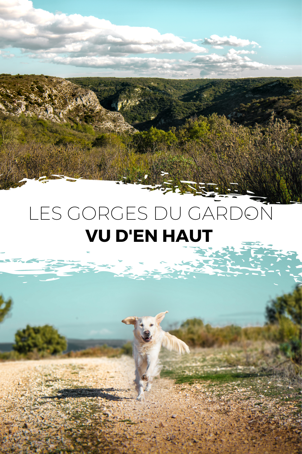 Cani-randonnér dans les Gorges du Gardon