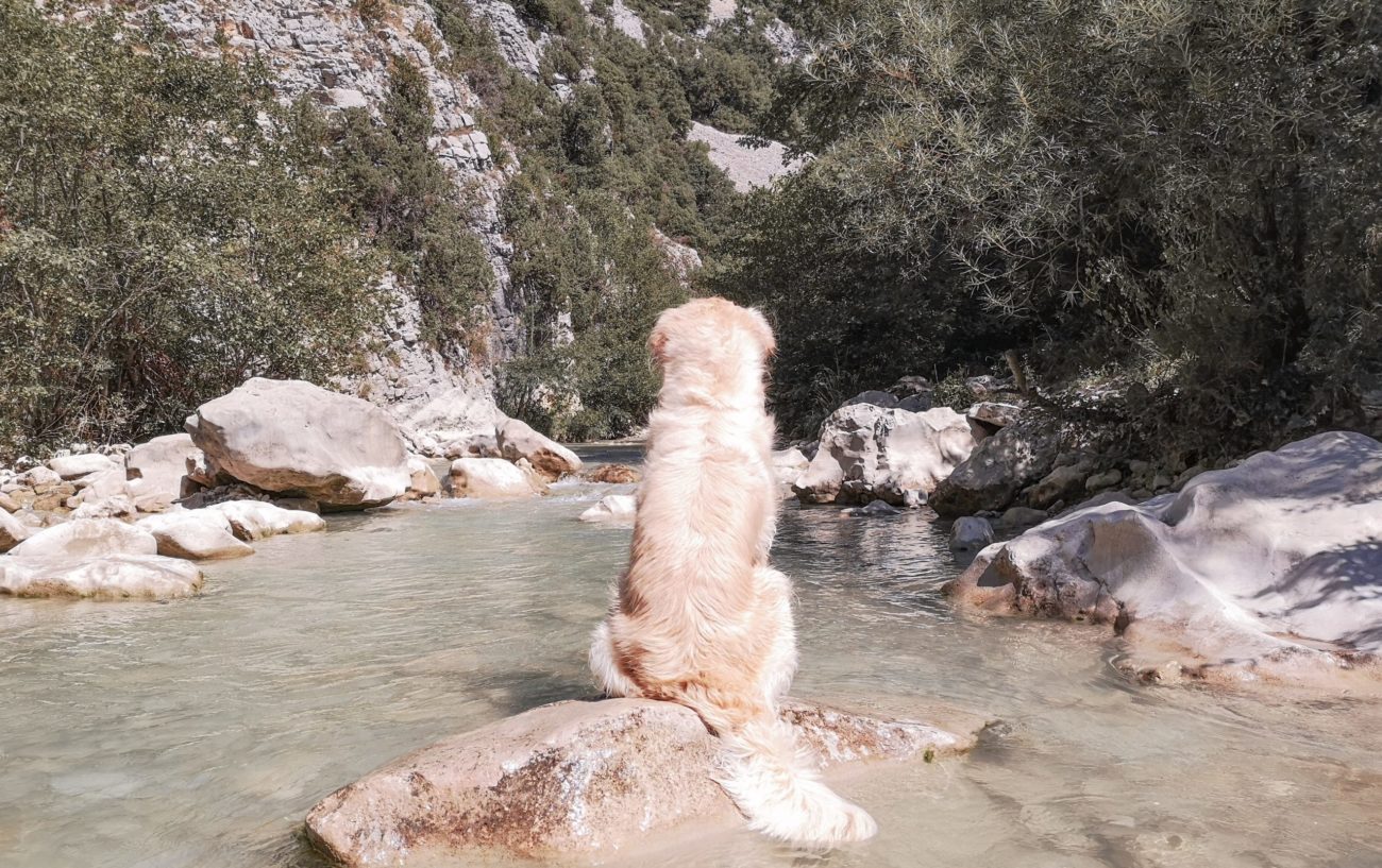 Les gorges du Toulourenc