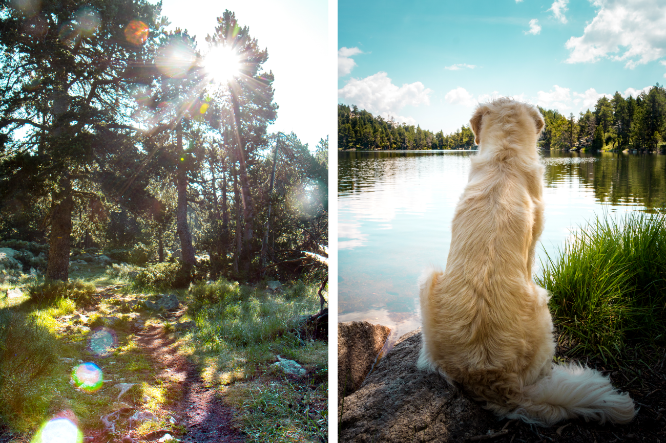 Lac des Bouillouses avec son chien 