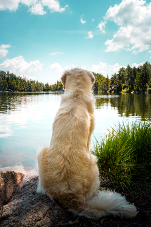 Lac des Bouillouses
