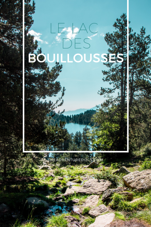 Le lac des Bouillouisse avec son chien-2