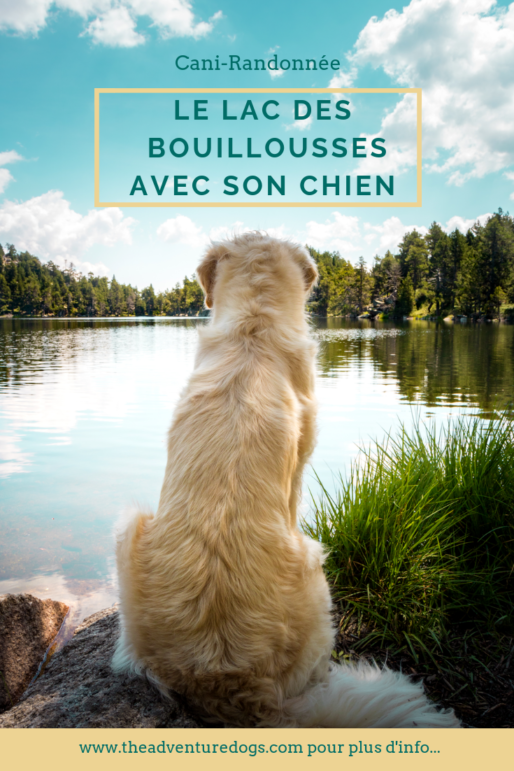 Le lac des Bouillouisse avec son chien