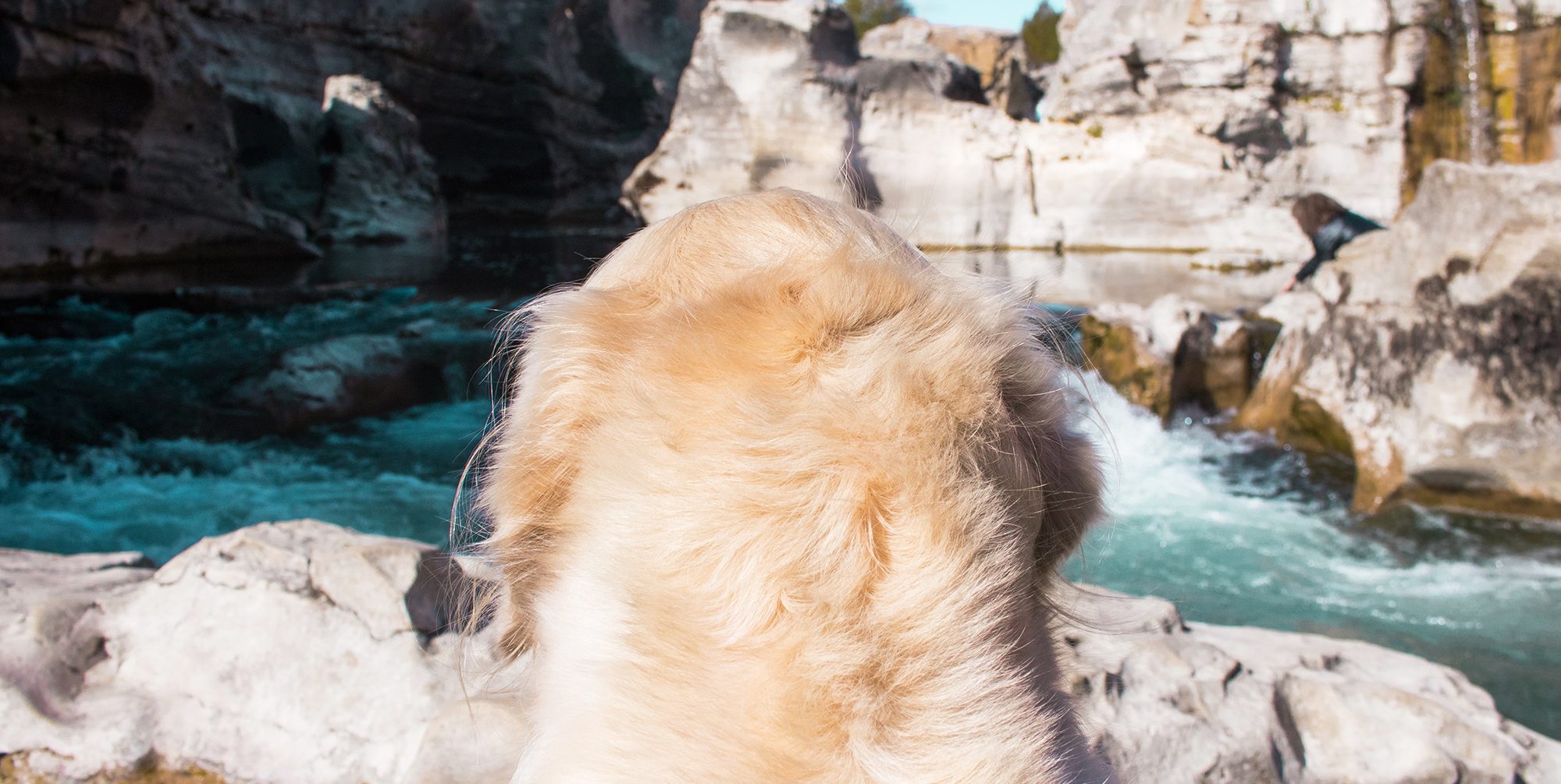 Cascade du Sautadet avec son chien