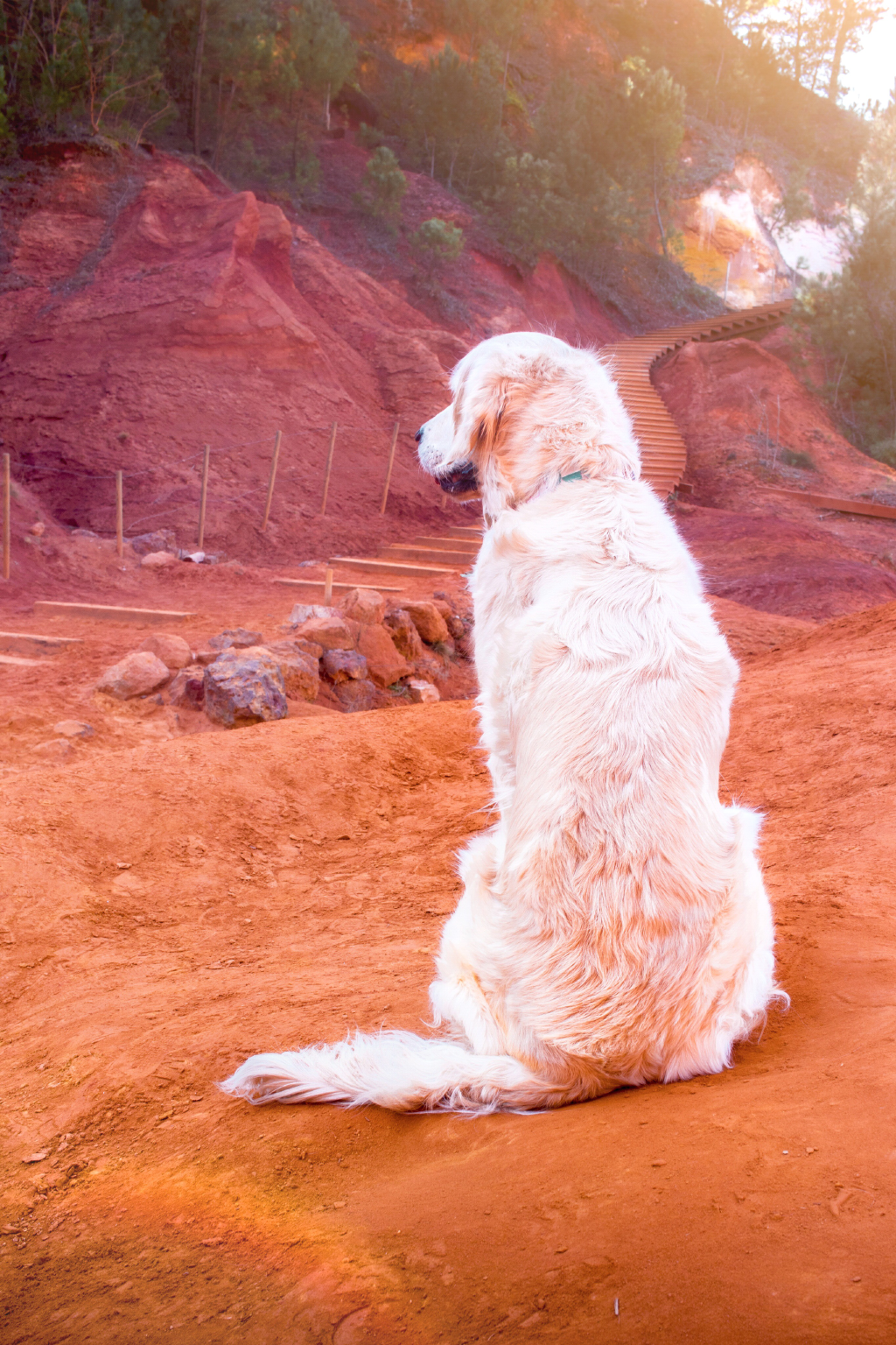 Le sentier des Ocres avec son chien