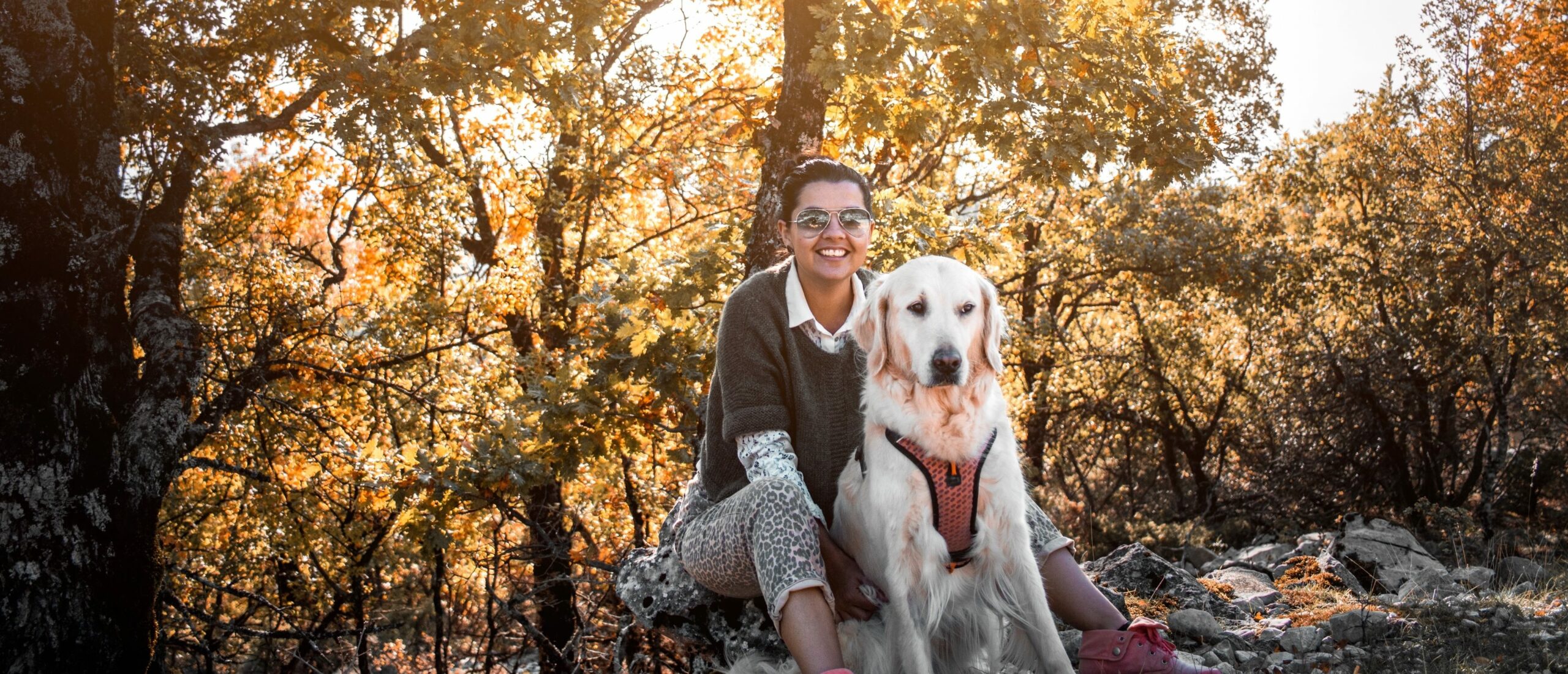 Cani-rando dans la plus grande forêt de France !