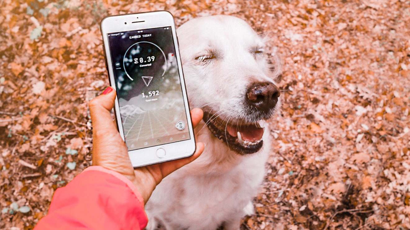 Comment Valider Ses Pas Sur Sweatcoin Gagner de l'argent en pratiquant la cani-rando ! - The Adventure Dogs