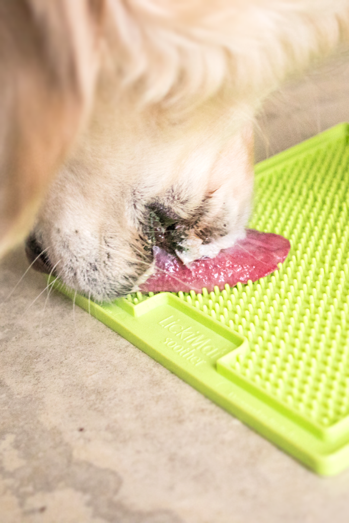 Lickimat Soother pour chien 