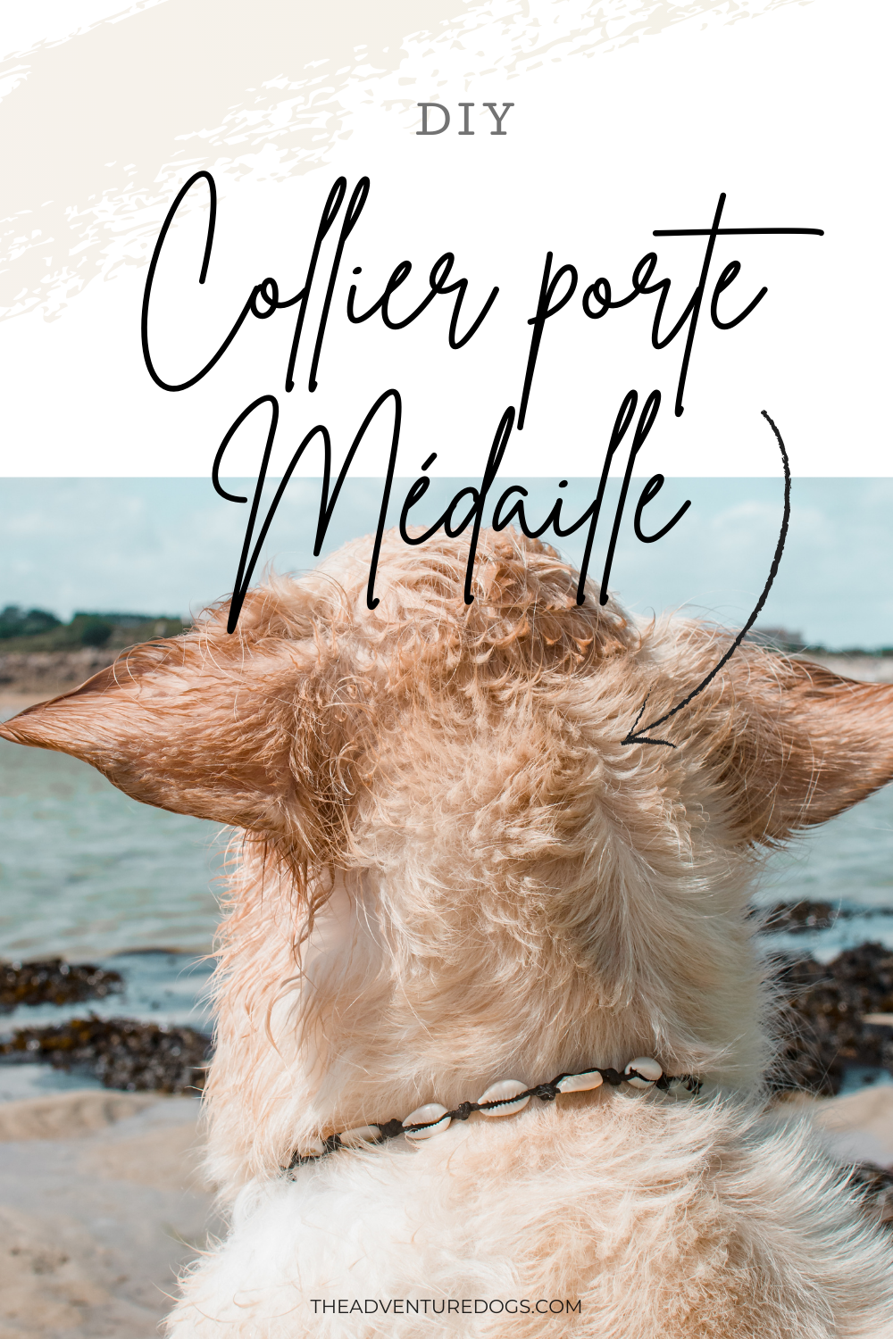 DIY collier porte médaille pour chien