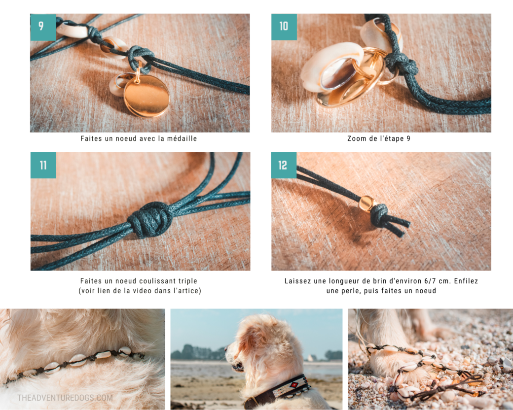 DIY collier porte médaille pour chien
