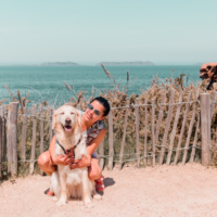 Cani-randonnée au phare de Ploumanac'h avec son chien