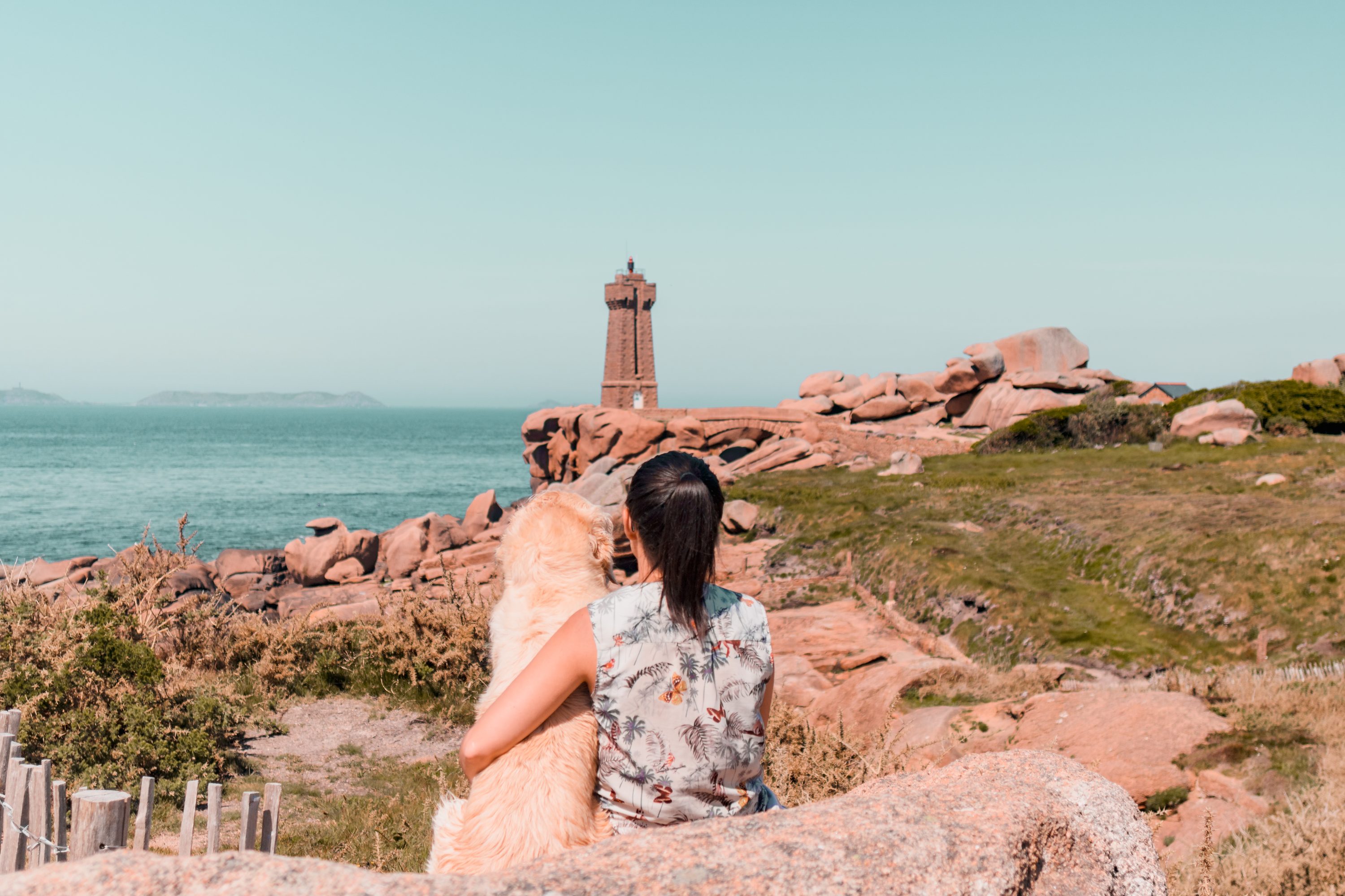 Cani-randonnée au phare de Ploumanac'h avec son chien