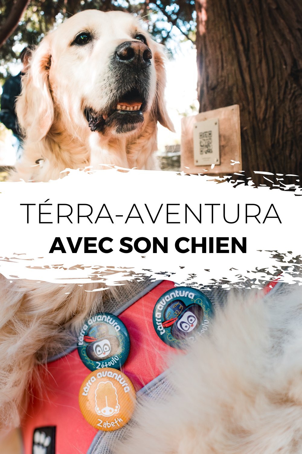 Terra Aventura avec son chien