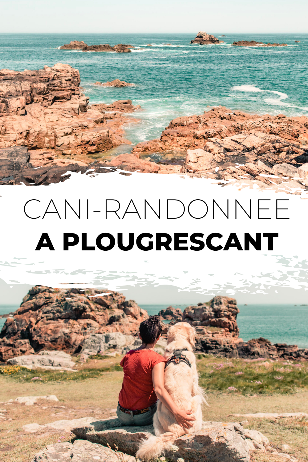 Cani-randonnée à Plougrescant avec son chien