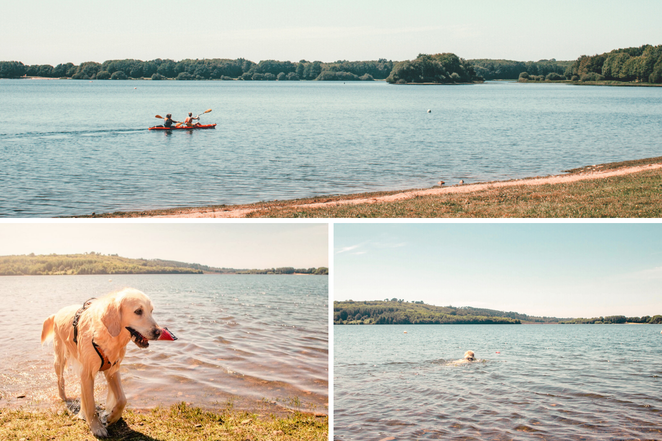 Lac du Drennec avec son chien