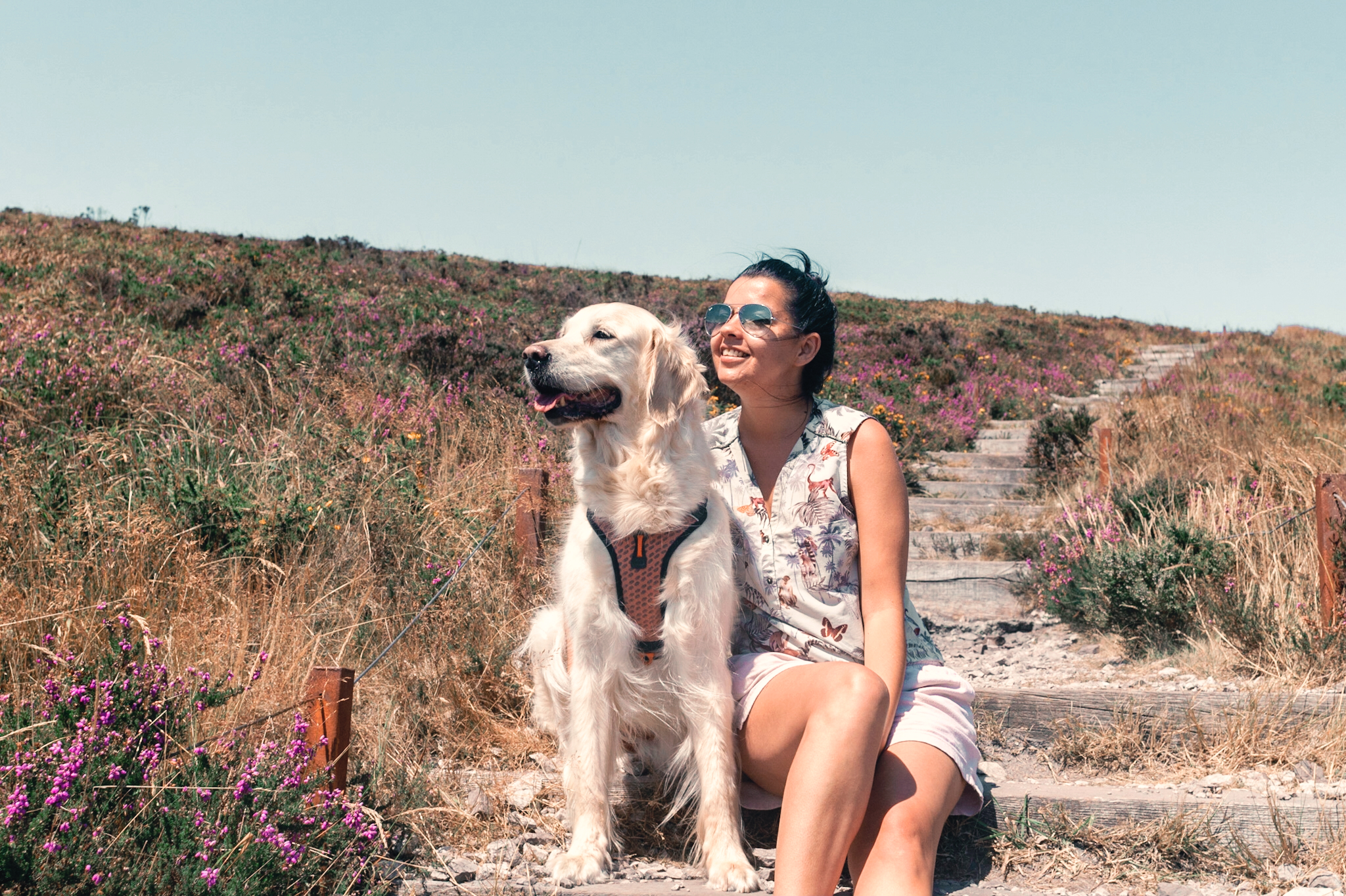 Cani-Randonnée dans les Monts-D'Arrée avec son chien