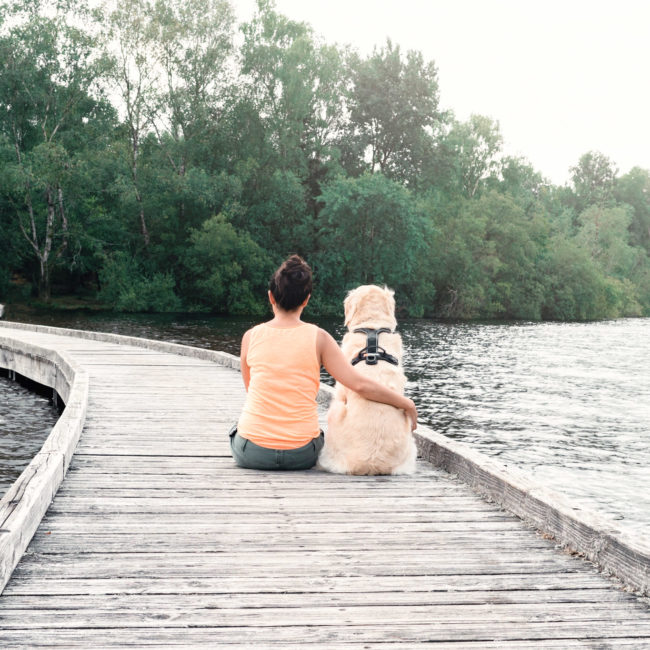 Randonnée au lac de Vassivière avec son chien