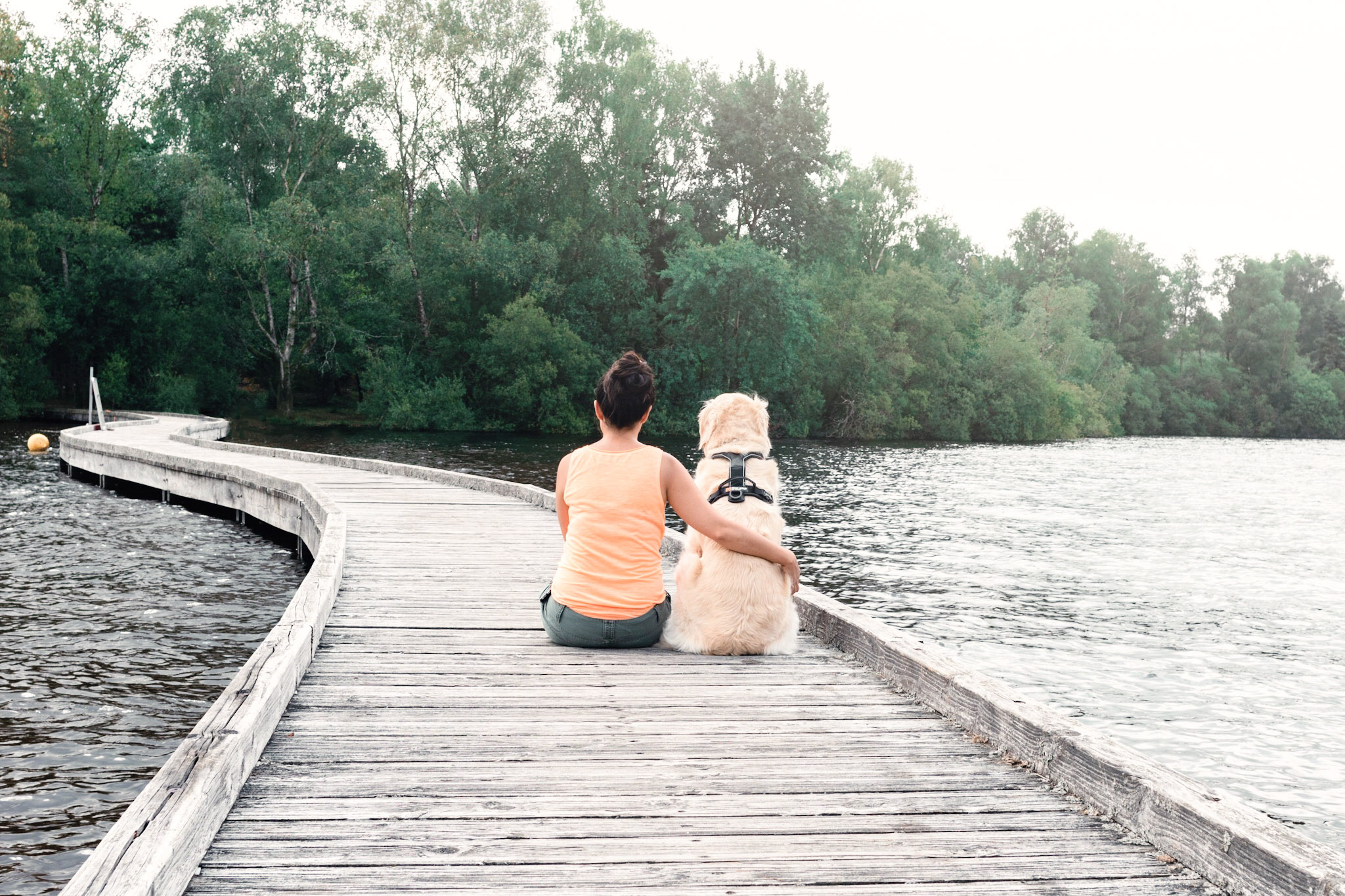 Randonnée au lac de Vassivière avec son chien