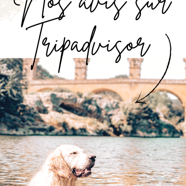 Carnet de voyage DogFriendy