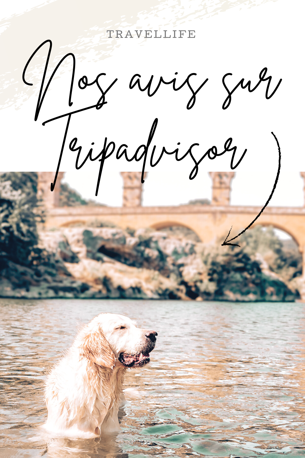 Carnet de voyage DogFriendy