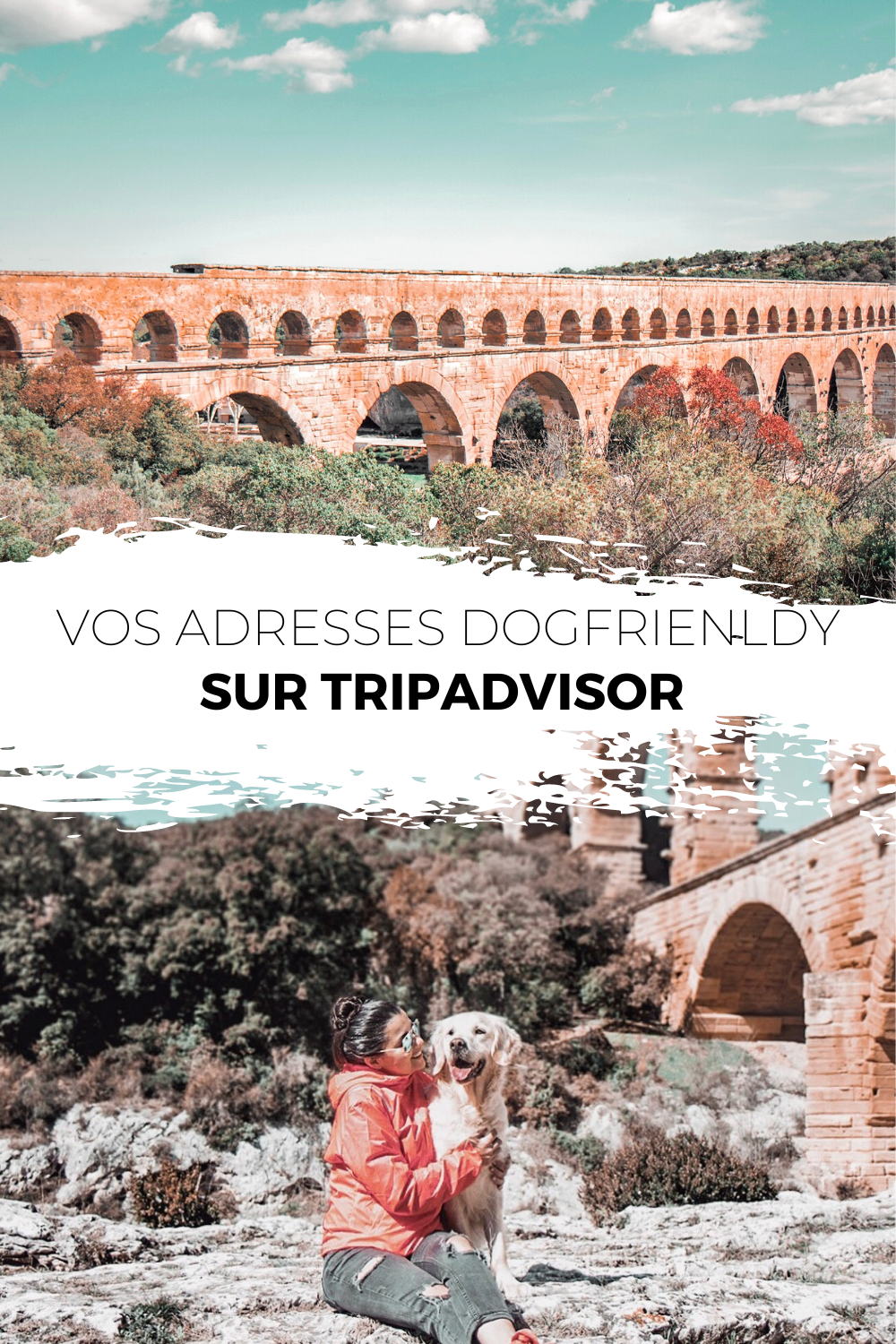 Carnet de voyage DogFriendy